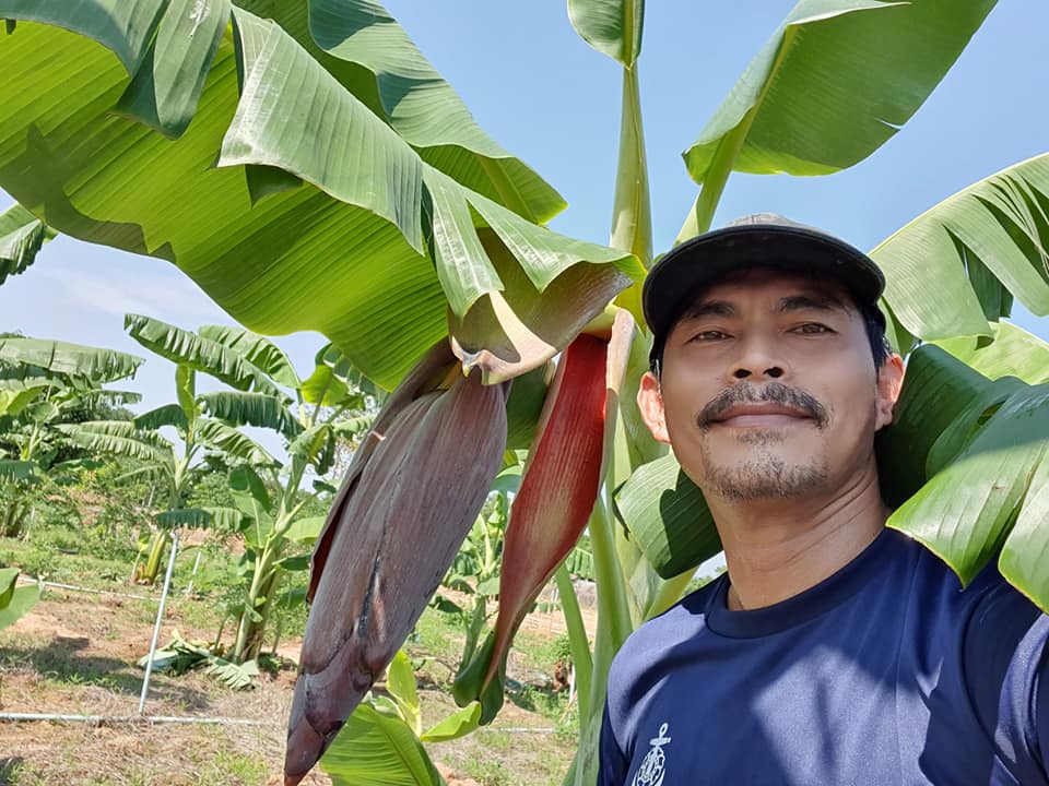 จรัญ งามดี