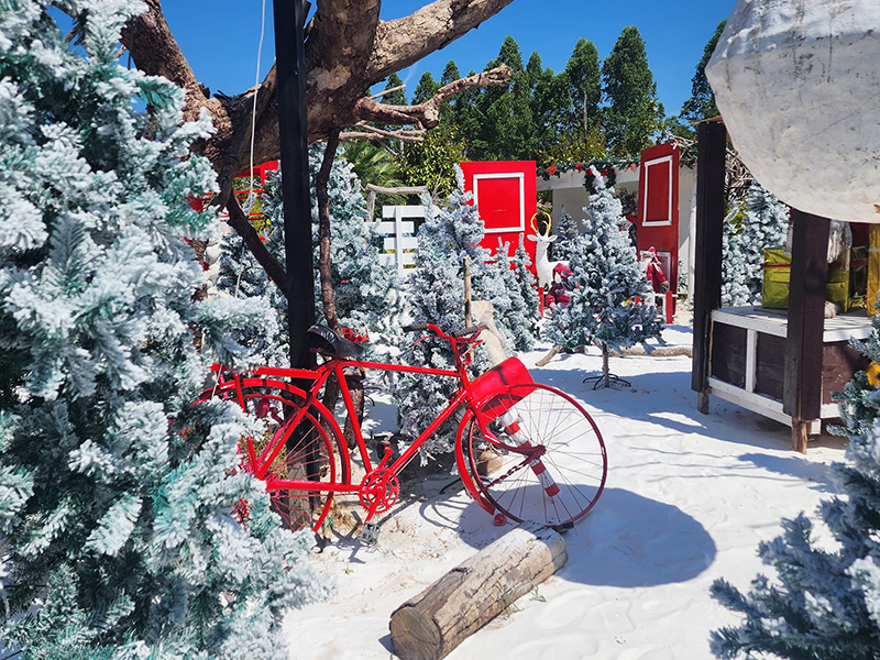 คาเฟ่หิมะ ปราจีนบุรี