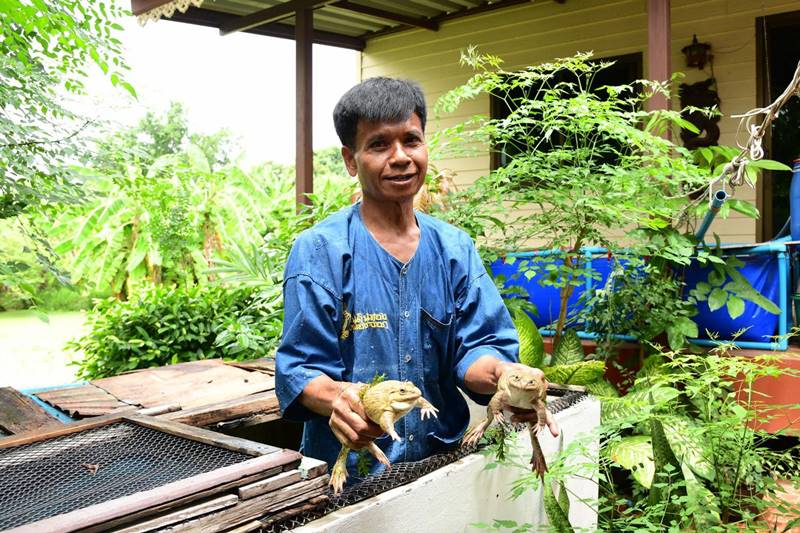การไฟฟ้านครหลวง