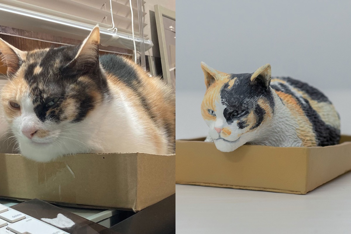 มีมสัตว์