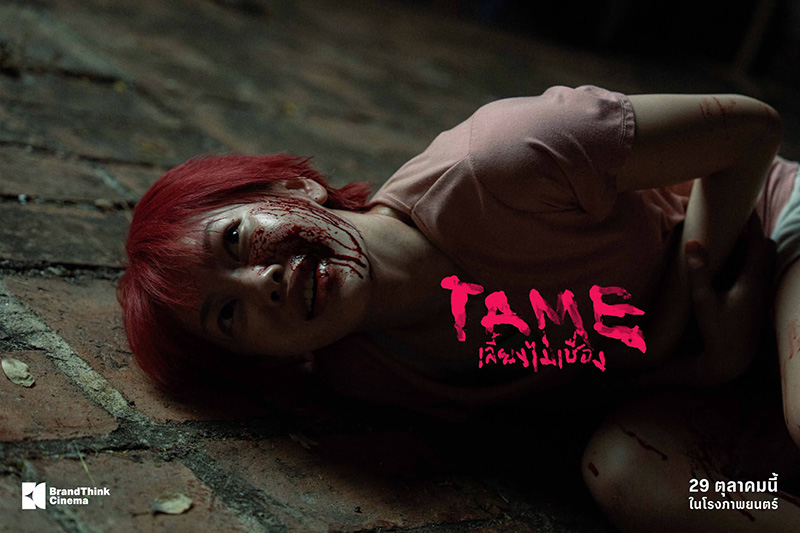 TAME เลี้ยงไม่เชื่อง หนังใหม่ 2026 หนังใหม่เดือนตุลาคม 2569 ดูหนัง