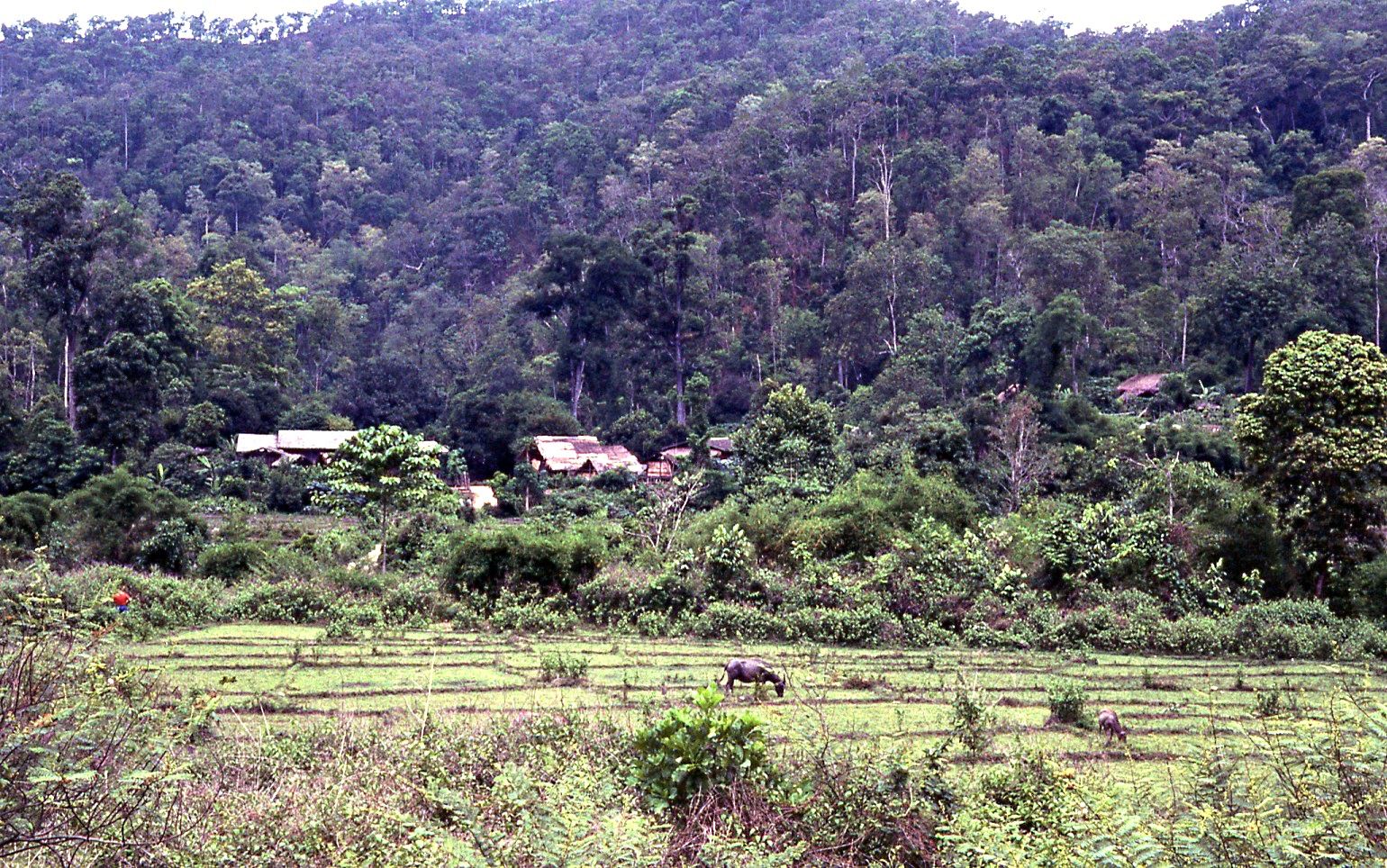 เชียงรายในอดีต