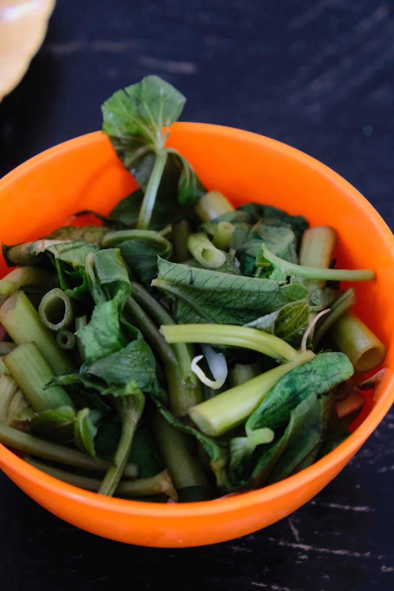 โกสา ก๋วยเตี๋ยวเนื้อตุ๋น หมูต๋น