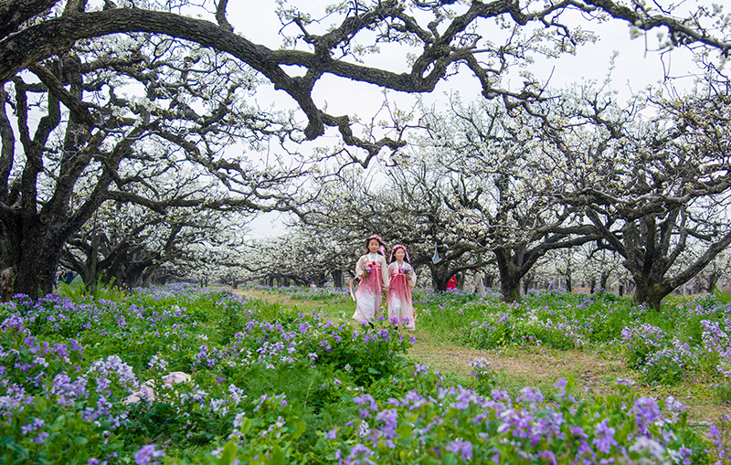 เที่ยวจีน