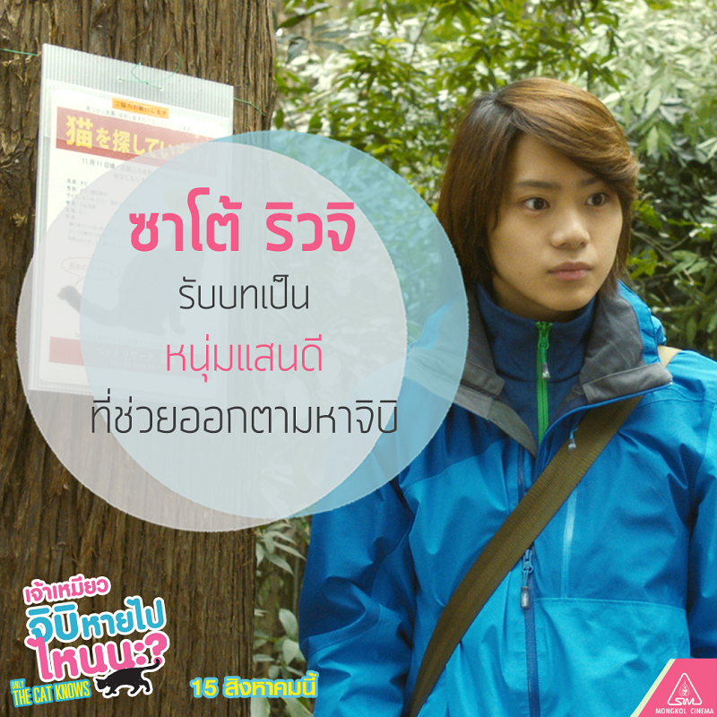 หนังแมวญี่ปุ่น