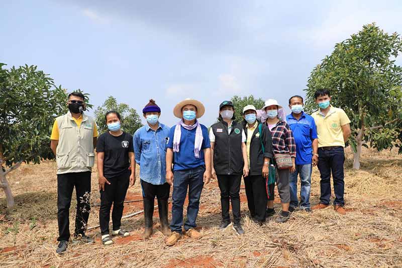 โครงการยกระดับแปลงใหญ่