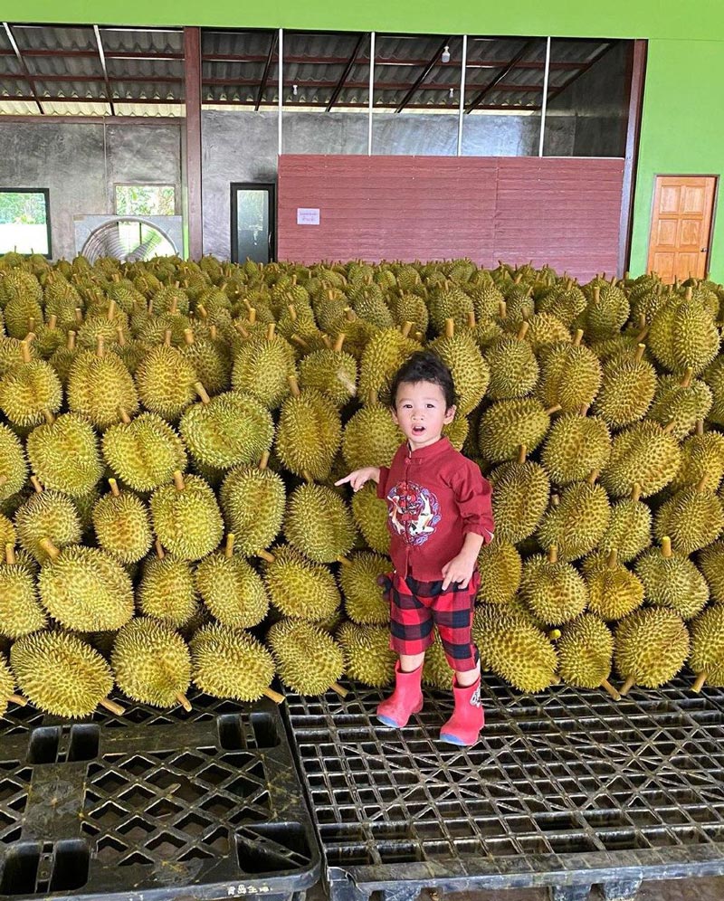 น้องโพธิ์ ลูกชาย ชาคริต