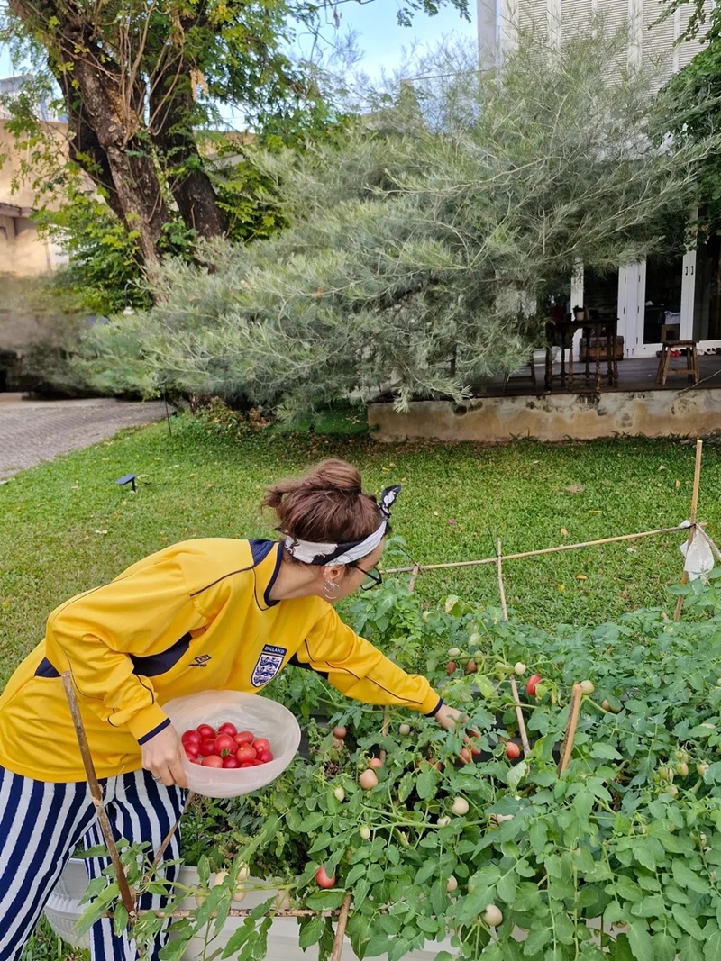 ปาล์มมี่ พาชมสวนมะเขือเทศในสไตล์ยูทูบเบอร์มือใหม่