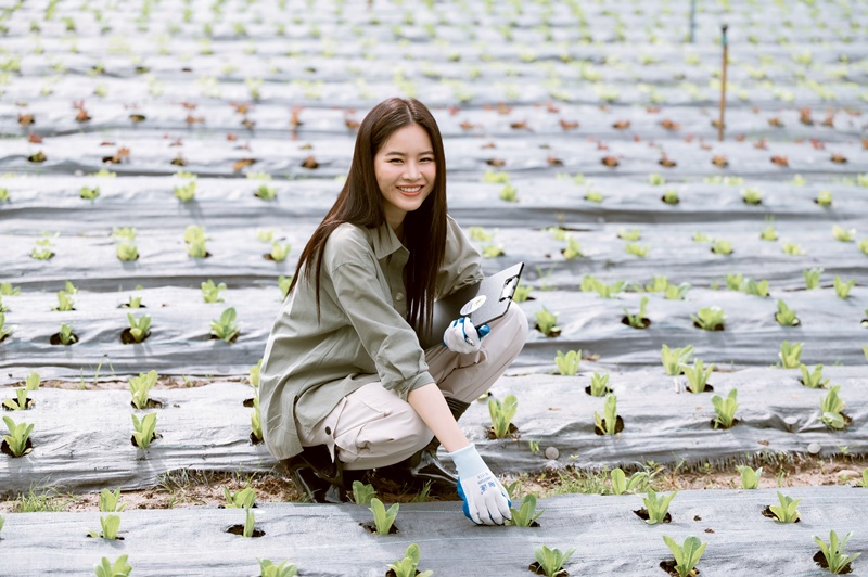 วิวาห์ปฐพี ซีรีส์ชุด 4 ELEMENTS บ้านวาทินวณิช