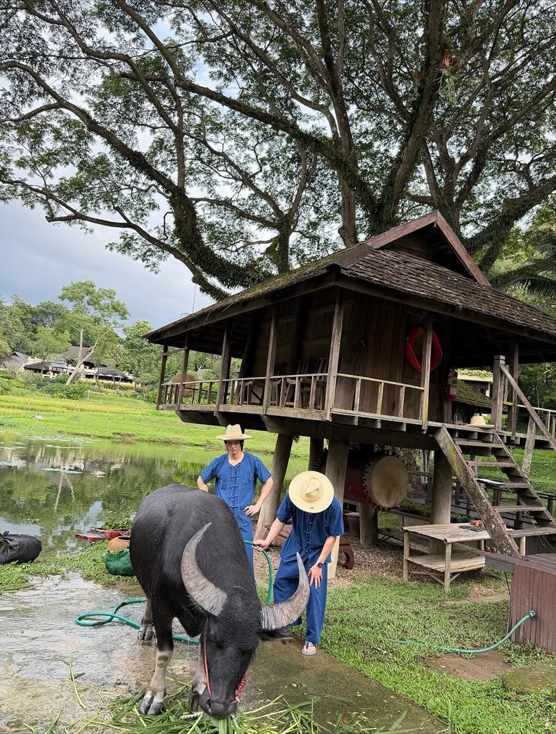 วิน เมธวิน