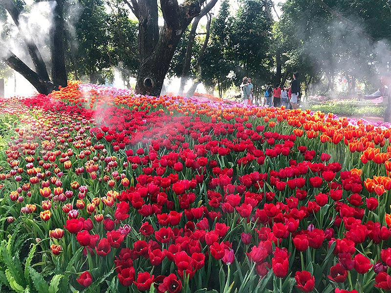 เทศกาลท่องเที่ยวเดือนธันวาคม 2562