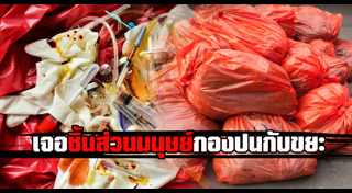 ชิ้นส่วนมนุษย์