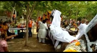 ต้นตะเคียน