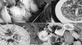 เที่ยวตาก