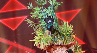 ชมพู ฟรุ๊ตตี้