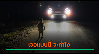 เรื่องแปลกเวียดนาม