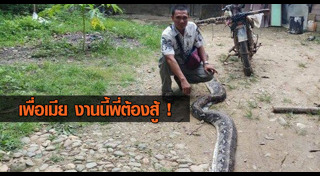 งูรัดคน