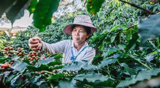 ท่องเที่ยวเชิงอนุรักษ์