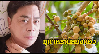 แมงป่อง