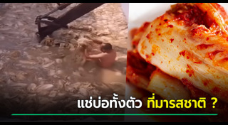 หิมะตกจีน