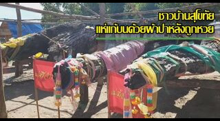 ต้นตะเคียน