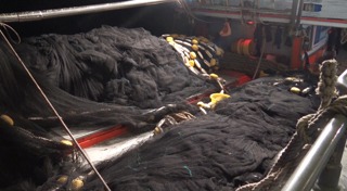 เรือประมง