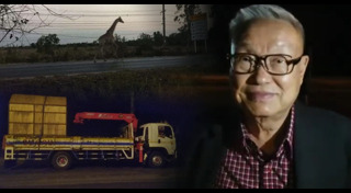 ซาฟารีเวิลด์