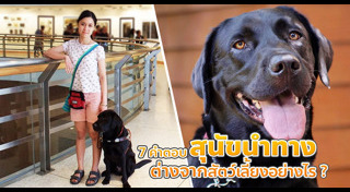 สุนัขนำทาง