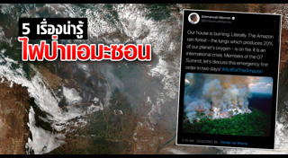 ป่าแอมะซอน