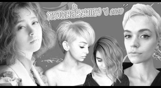 ทรงผมบ๊อบ