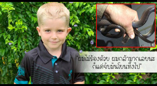 เด็กถูกงูกัด