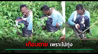 งูรัดคน