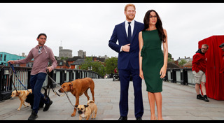 เมแกน มาร์เคิล