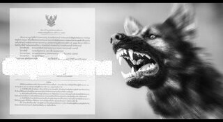 พิษสุนัขบ้า