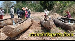 ต้นตะเคียน