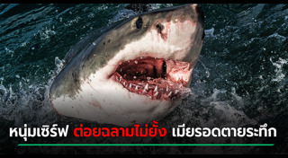 ฉลามกัดคน