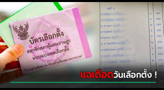 โกงเลือกตั้ง