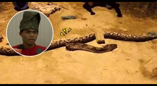 งูรัดคน