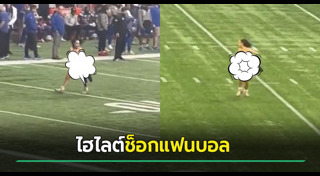 สนามฟุตบอล