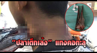 ปลาเต็กเล้ง