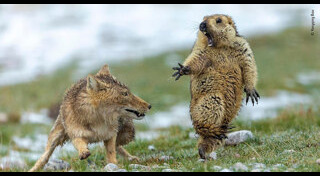 ภาพถ่ายยอดเยี่ยม