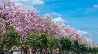 ที่เที่ยวนครปฐม