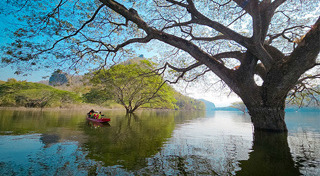 เที่ยวเชียงใหม่