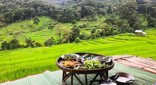 นาขั้นบันได