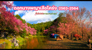 พญาเสือโคร่ง