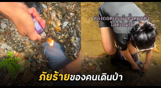 เดินป่า