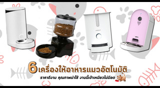 วิธีดูแลสัตว์เลี้ยง