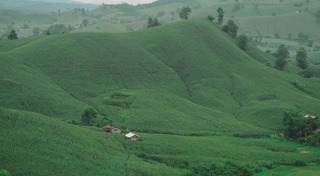 ท่องเที่ยวไทย