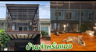 บ้านสัตว์
