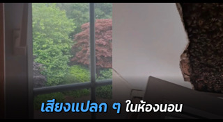 รังผึ้ง